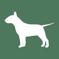 Bull Terrier Embroidered AKC Quarter Zip