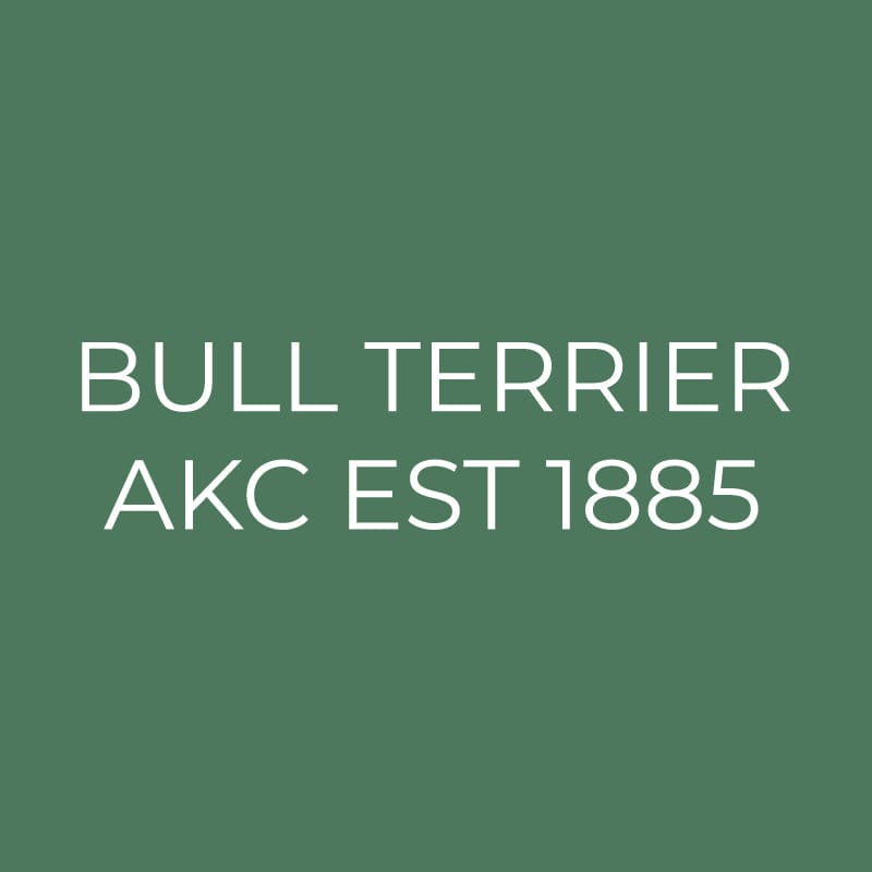 Bull Terrier Embroidered AKC Quarter Zip