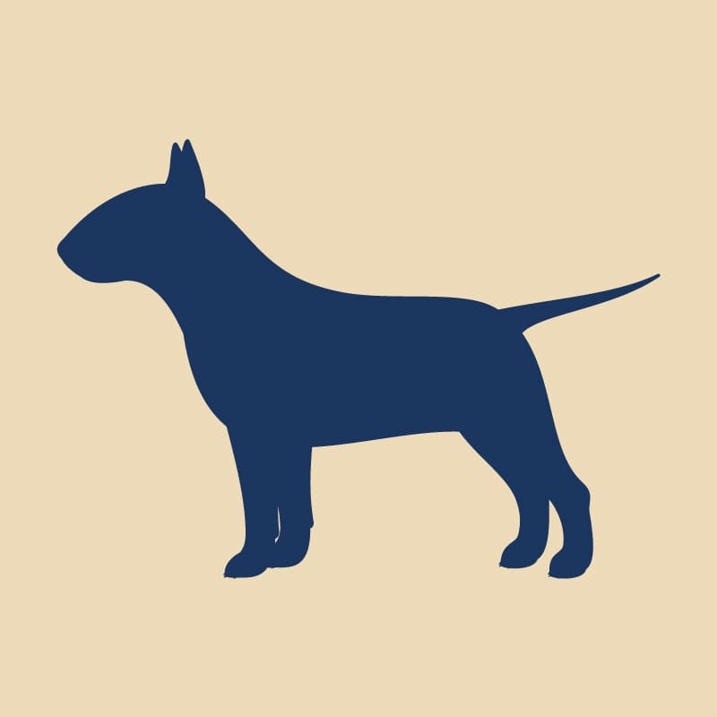 Bull Terrier Embroidered AKC Quarter Zip