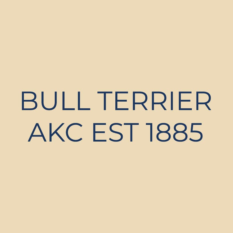 Bull Terrier Embroidered AKC Quarter Zip