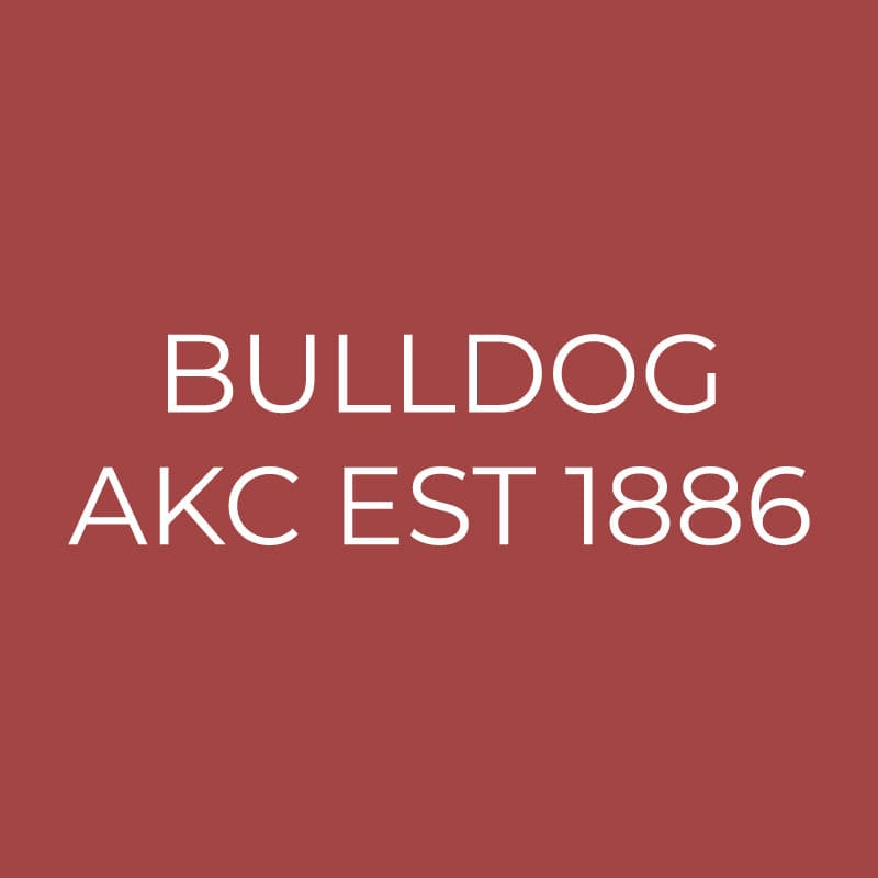 Bulldog Embroidered AKC Quarter Zip