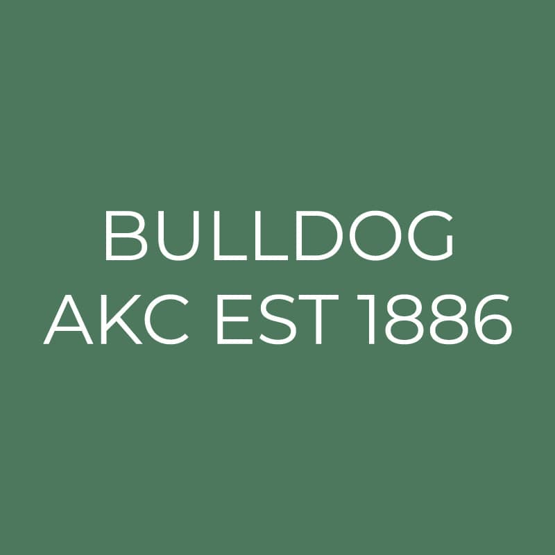 Bulldog Embroidered AKC Quarter Zip