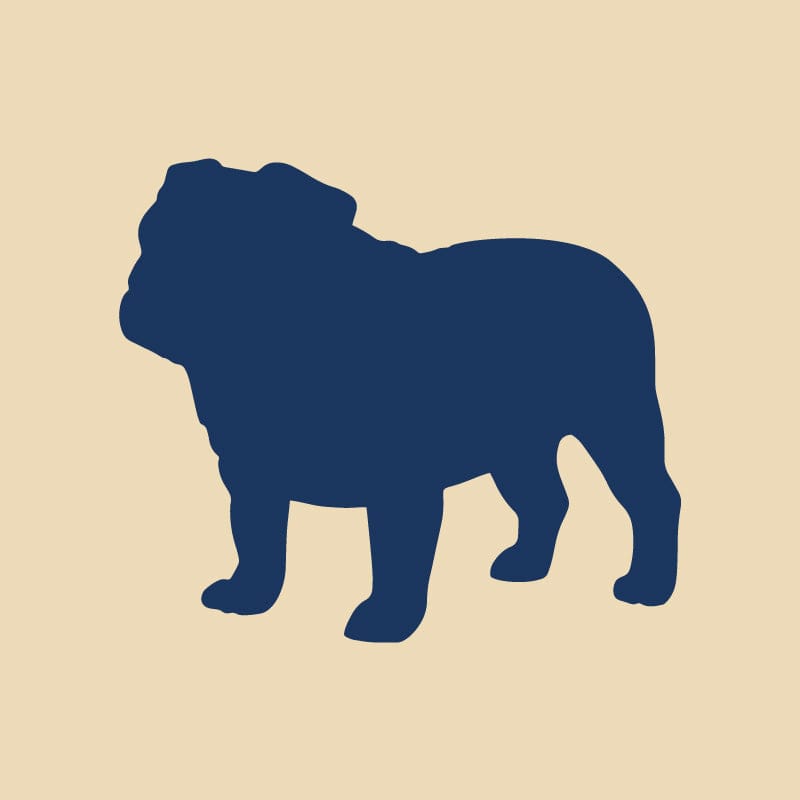 Bulldog Embroidered AKC Quarter Zip