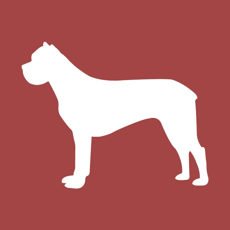 Cane Corso Embroidered AKC Quarter Zip