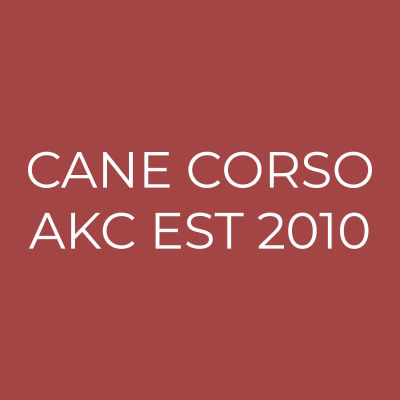 Cane Corso Embroidered AKC Quarter Zip