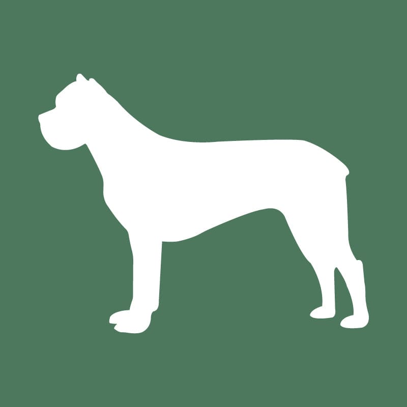 Cane Corso Embroidered AKC Quarter Zip