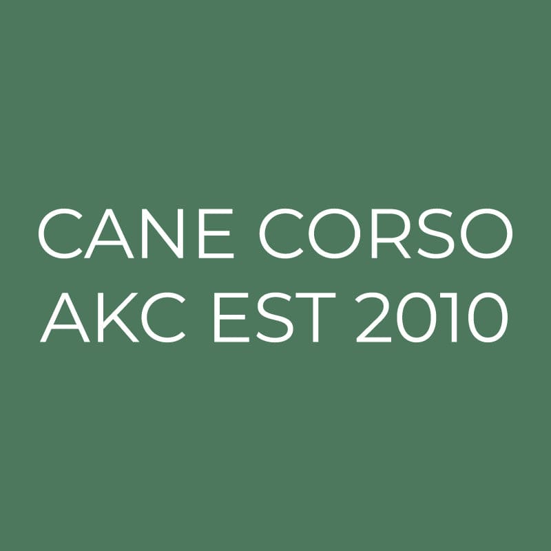 Cane Corso Embroidered AKC Quarter Zip