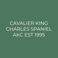 Cavalier King Charles Spaniel Embroidered AKC Quarter Zip
