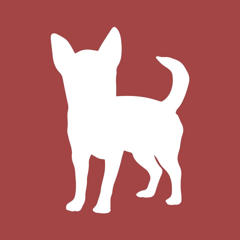 Chihuahua Embroidered AKC Quarter Zip