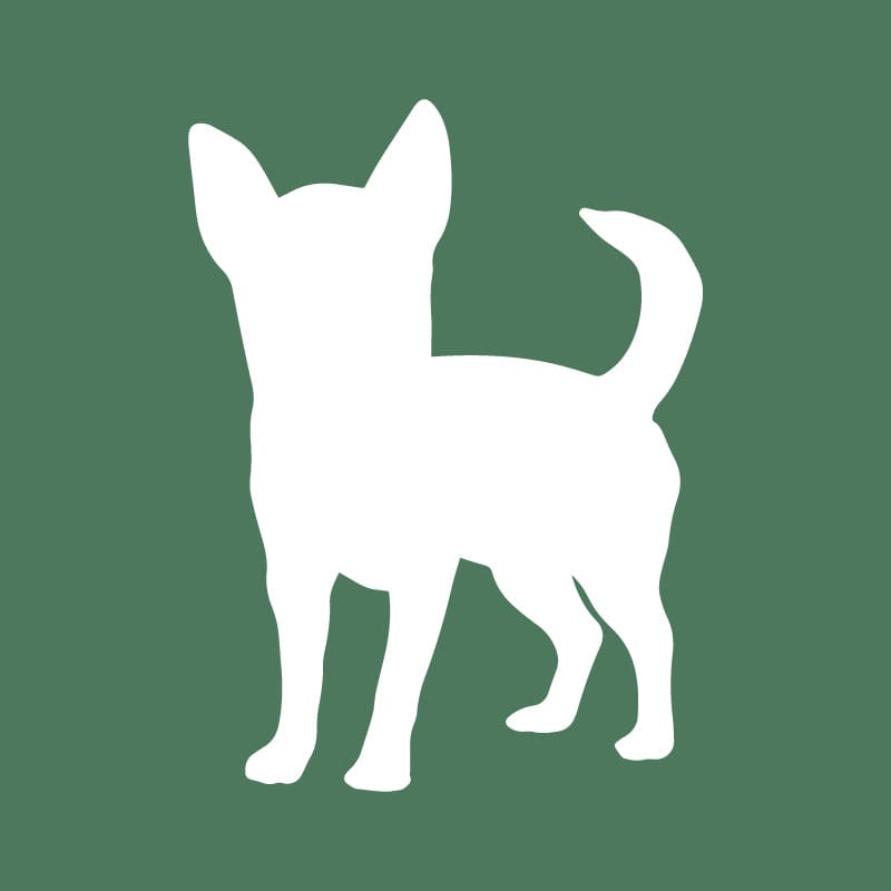 Chihuahua Embroidered AKC Quarter Zip