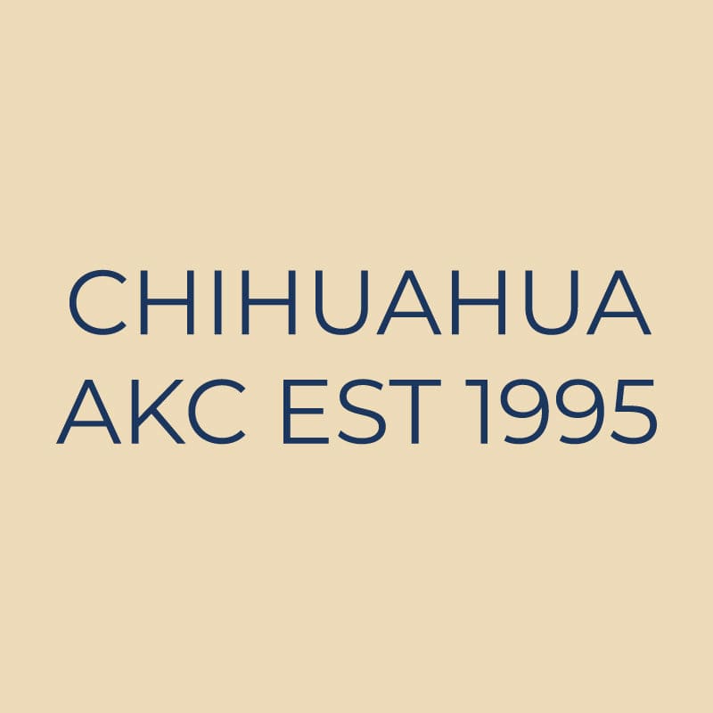 Chihuahua Embroidered AKC Quarter Zip