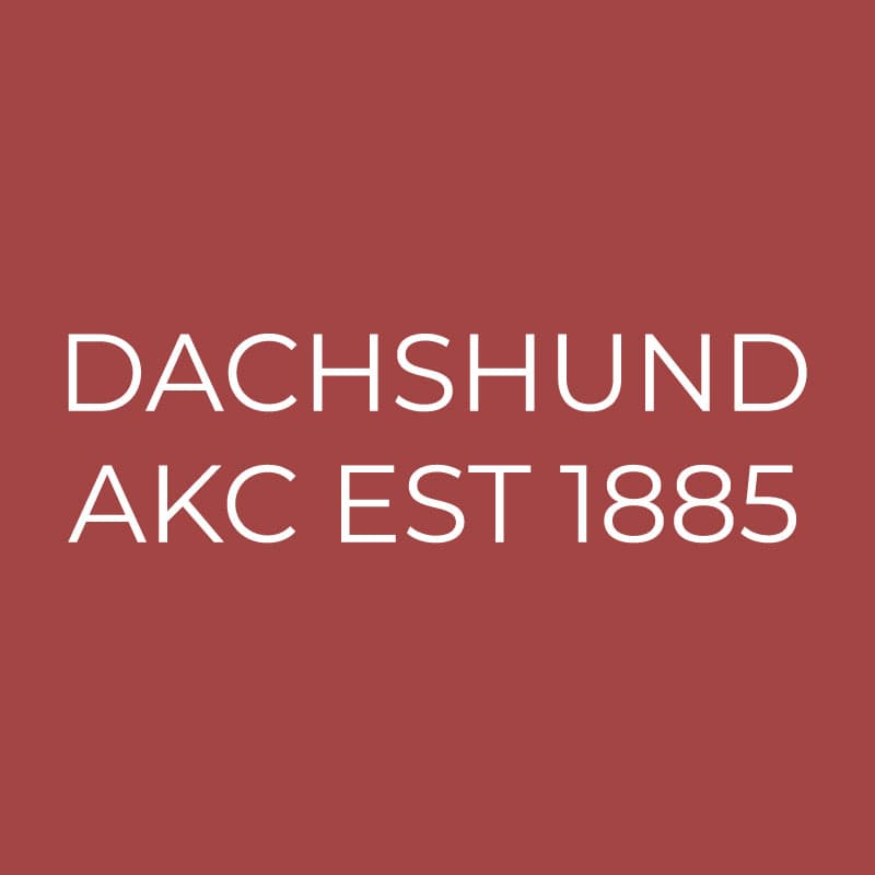 Dachshund Embroidered AKC Quarter Zip