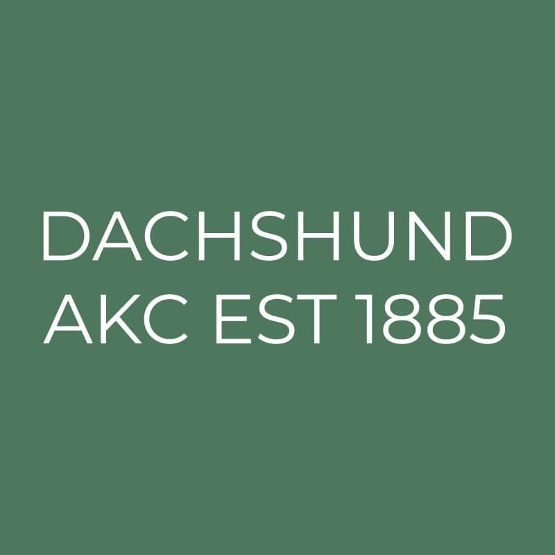 Dachshund Embroidered AKC Quarter Zip