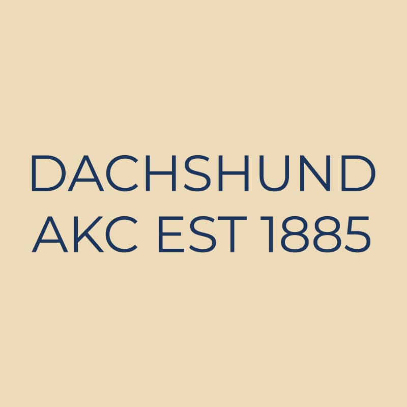 Dachshund Embroidered AKC Quarter Zip