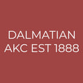 Dalmatian Embroidered AKC Quarter Zip