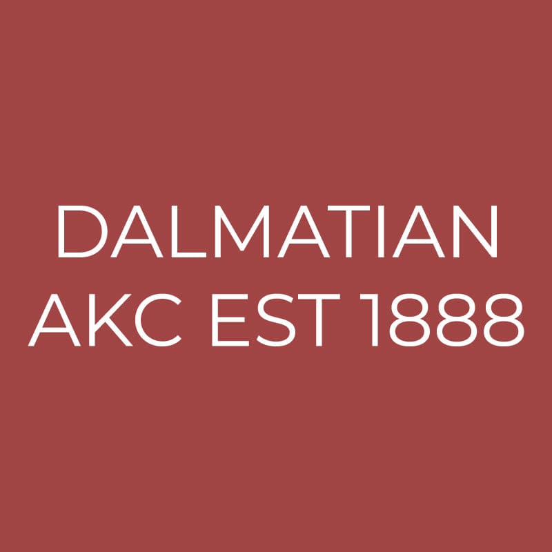 Dalmatian Embroidered AKC Quarter Zip