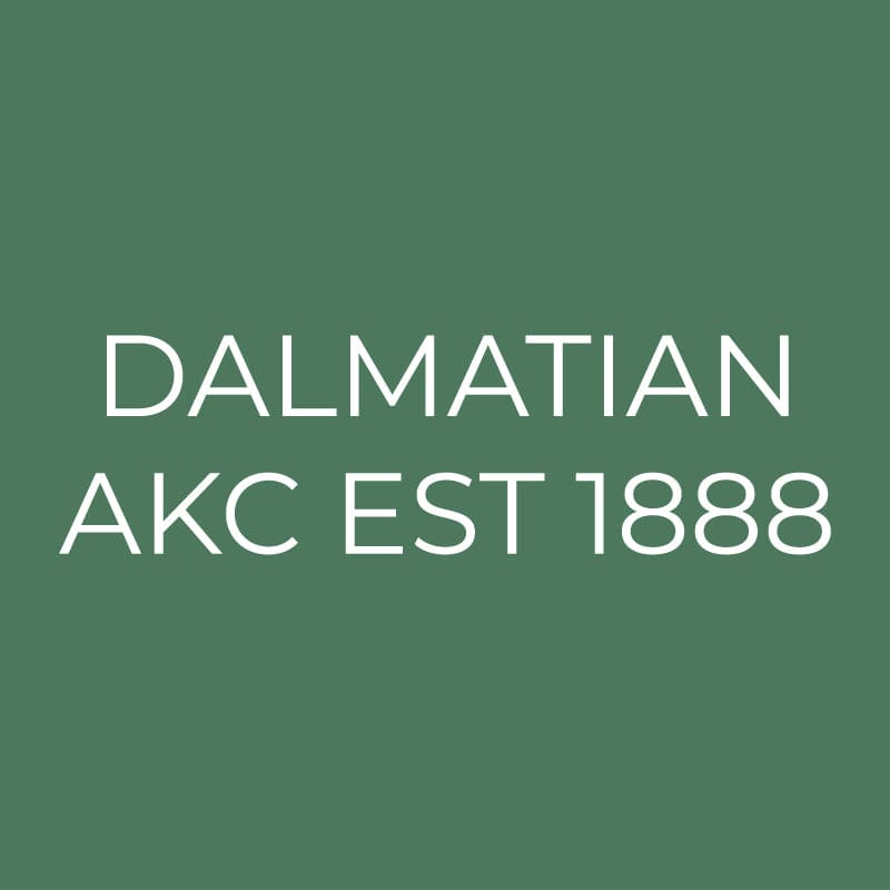 Dalmatian Embroidered AKC Quarter Zip