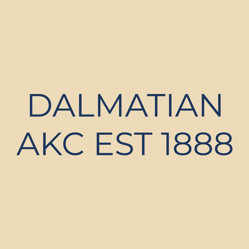 Dalmatian Embroidered AKC Quarter Zip