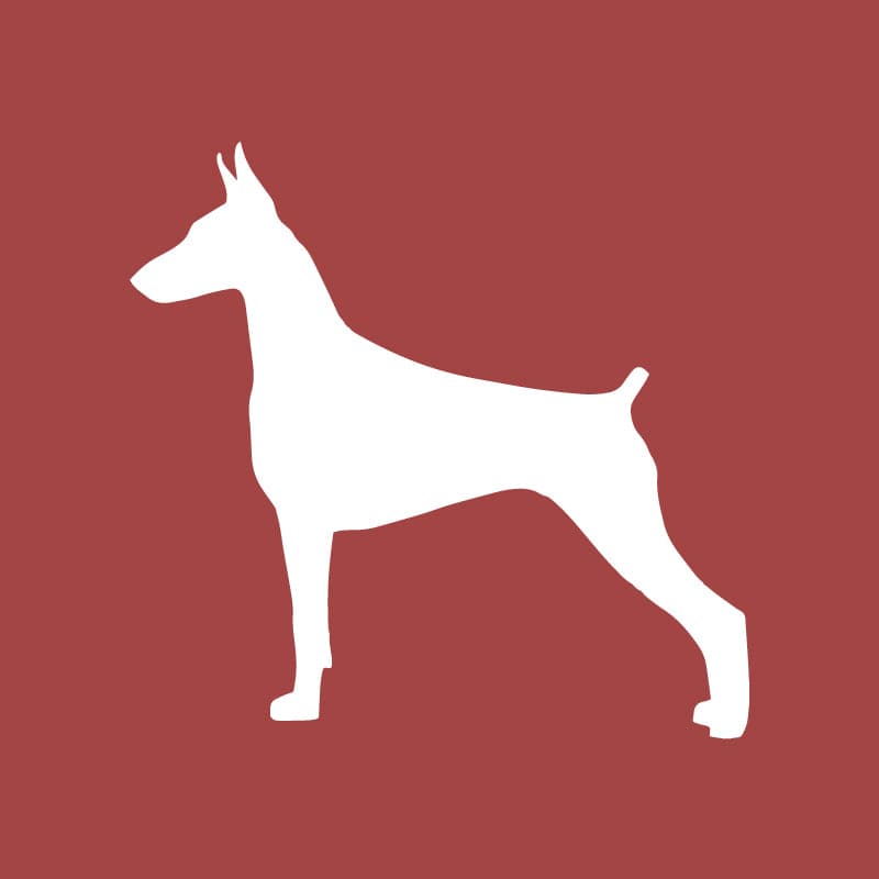 Doberman Pinscher Embroidered AKC Quarter Zip | AKC Shop