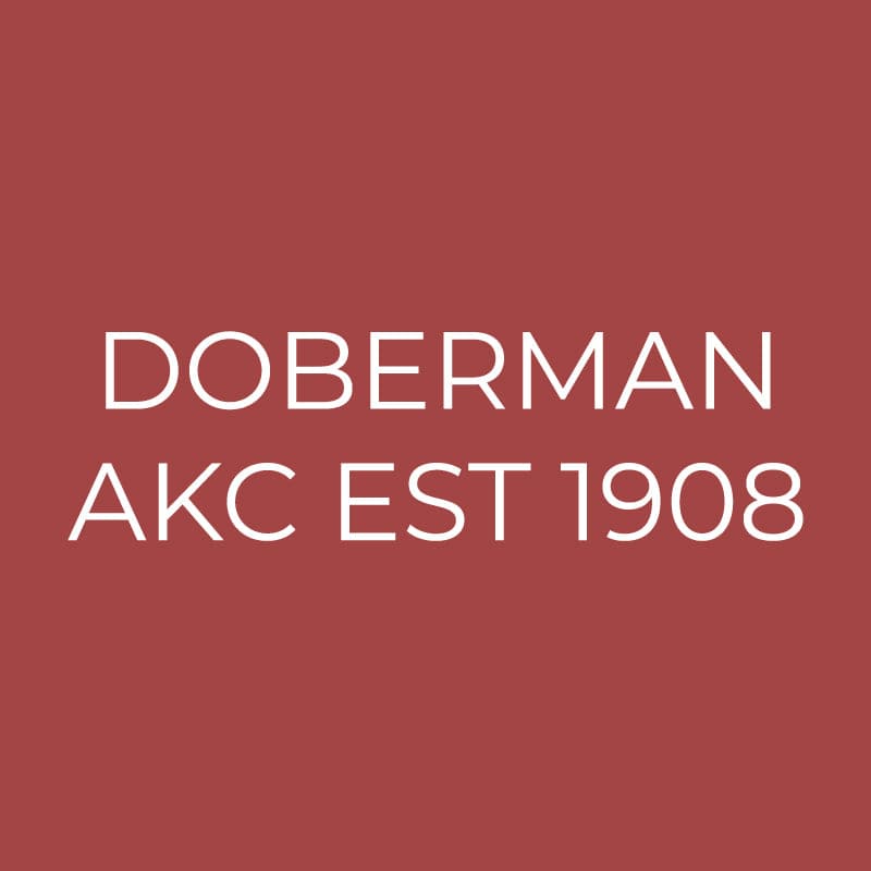 Doberman Embroidered AKC Quarter Zip