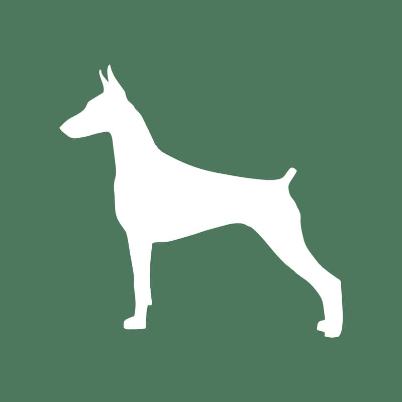 Doberman Embroidered AKC Quarter Zip