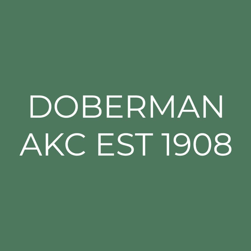 Doberman Embroidered AKC Quarter Zip