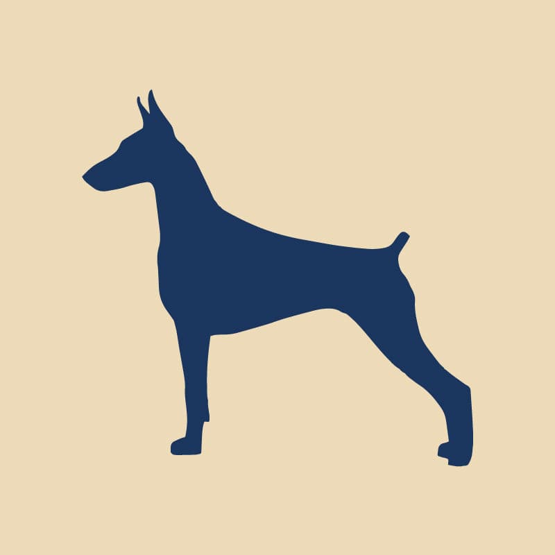 Doberman Embroidered AKC Quarter Zip