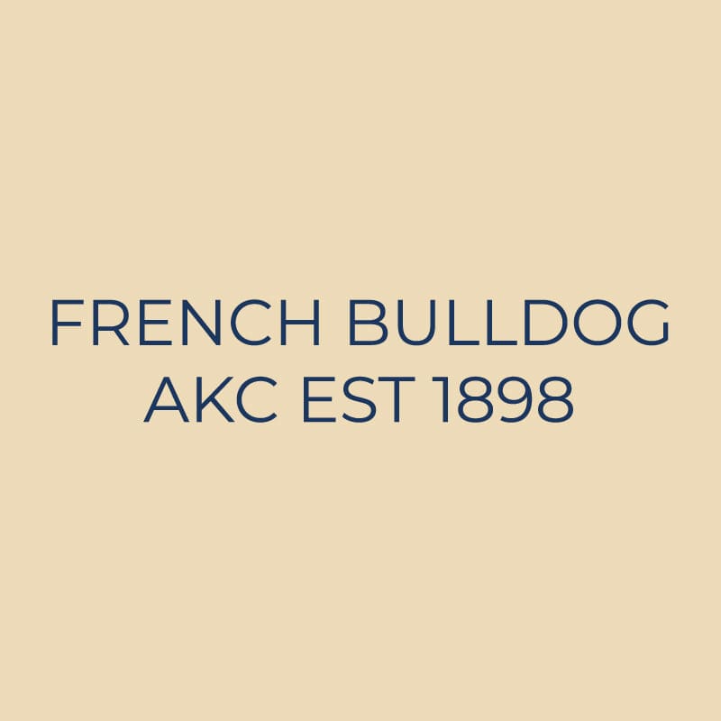 French Bulldog Embroidered AKC Quarter Zip