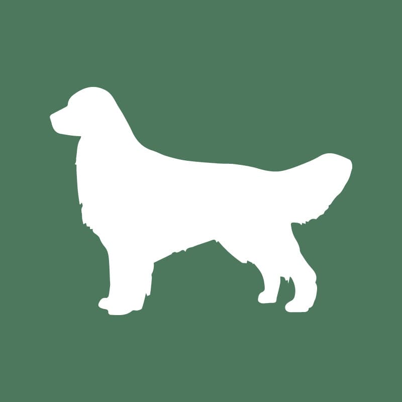 Golden Retriever Embroidered AKC Quarter Zip