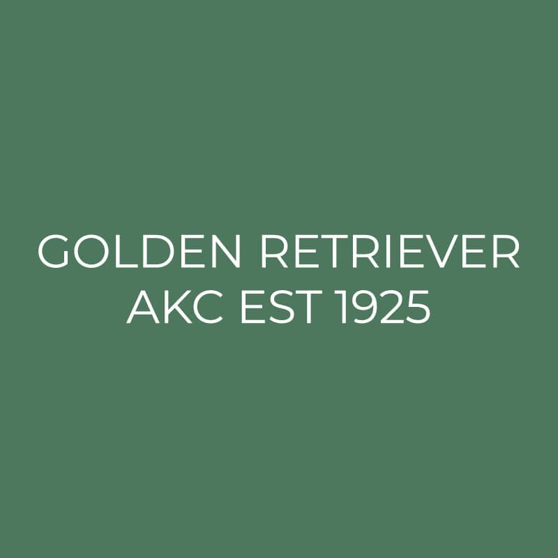 Golden Retriever Embroidered AKC Quarter Zip