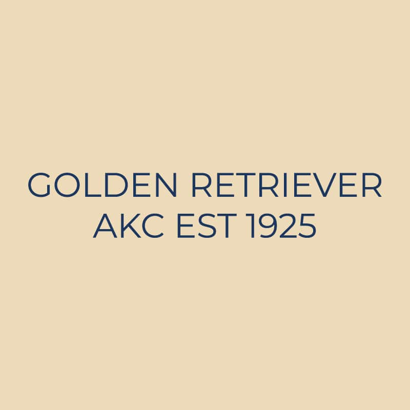 Golden Retriever Embroidered AKC Quarter Zip