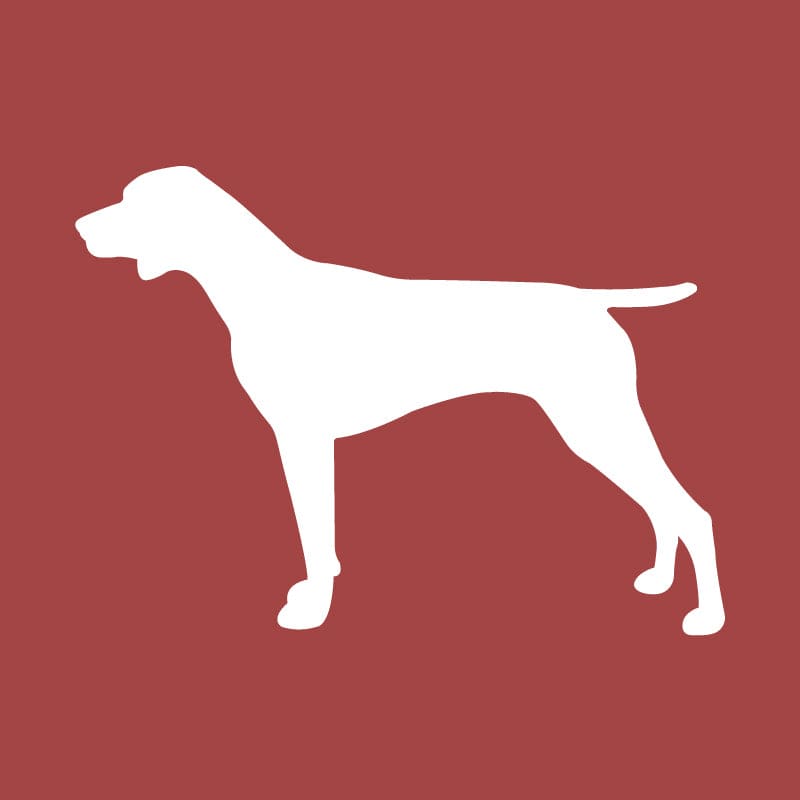 German Shorthaired Pointer Embroidered AKC Quarter Zip