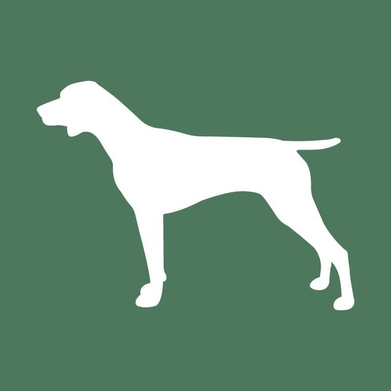 German Shorthaired Pointer Embroidered AKC Quarter Zip