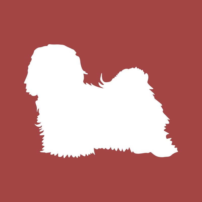 Havanese Embroidered AKC Quarter Zip