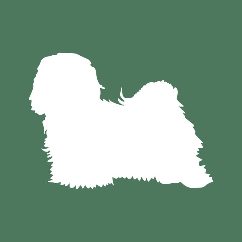 Havanese Embroidered AKC Quarter Zip