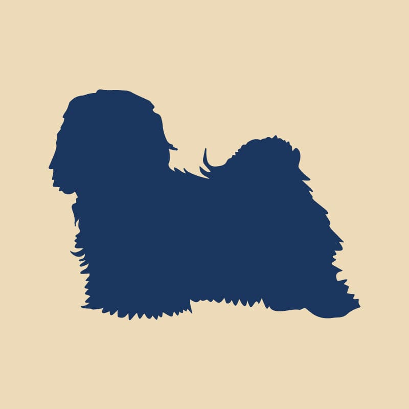 Havanese Embroidered AKC Quarter Zip