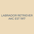Labrador Retriever Embroidered AKC Quarter Zip
