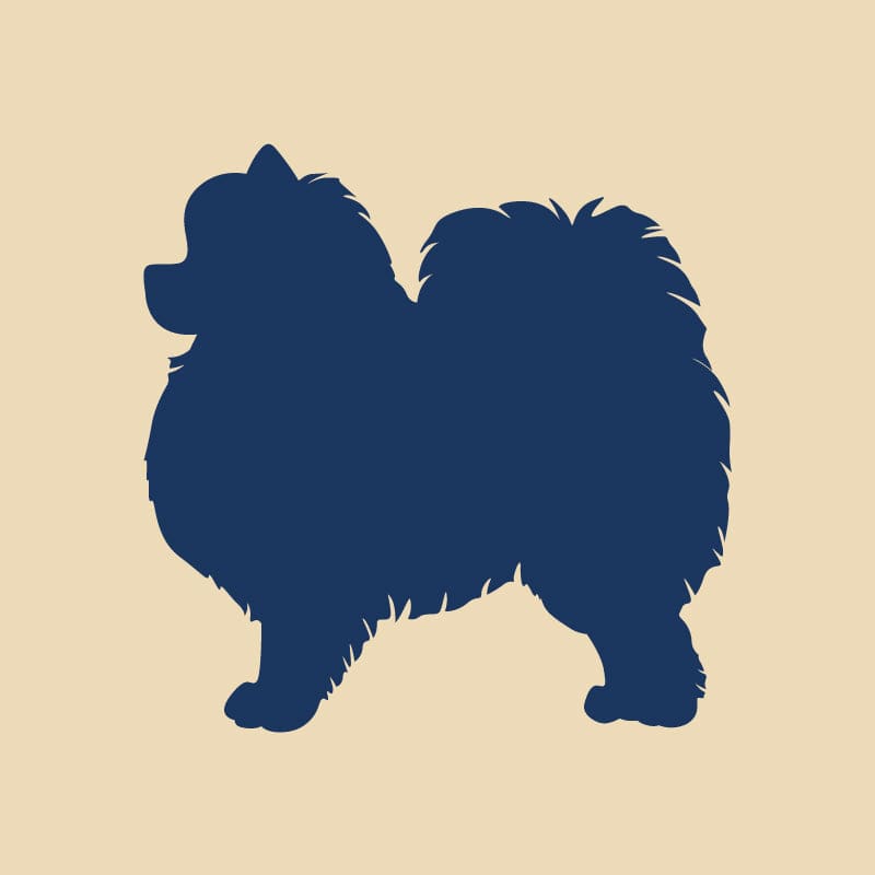 Pomeranian Embroidered AKC Quarter Zip