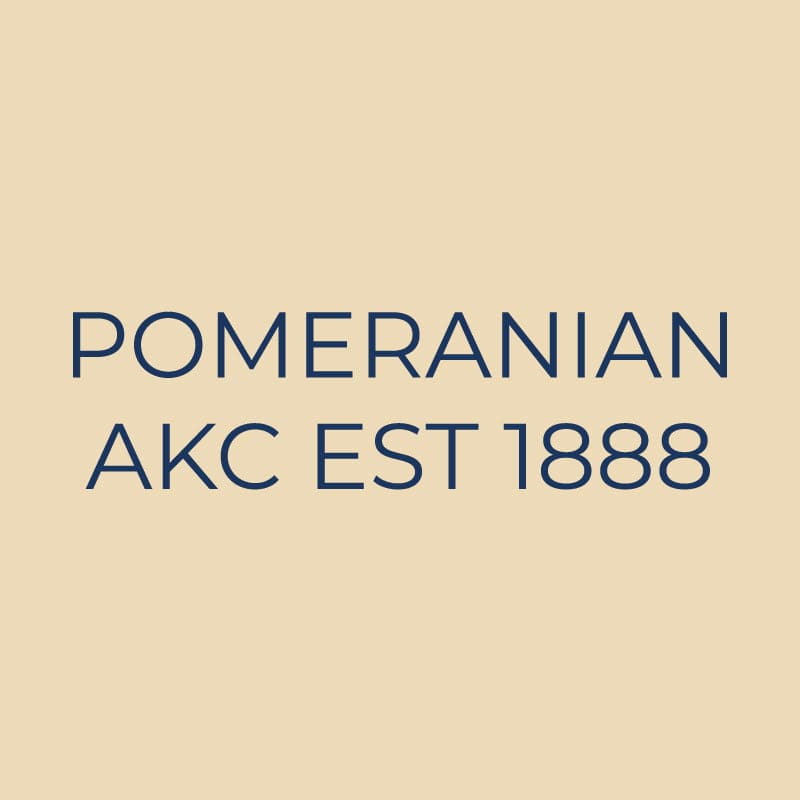 Pomeranian Embroidered AKC Quarter Zip