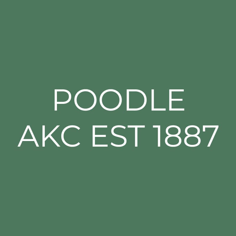 Poodle Embroidered AKC Quarter Zip