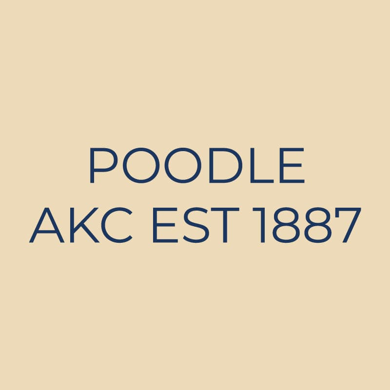 Poodle Embroidered AKC Quarter Zip