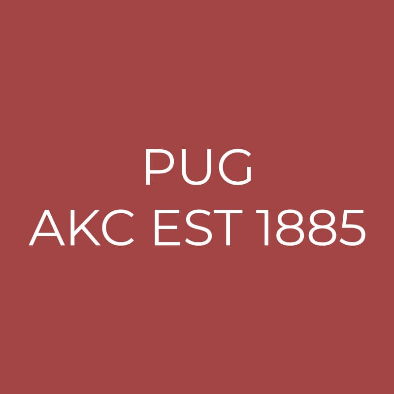 Pug Embroidered AKC Quarter Zip