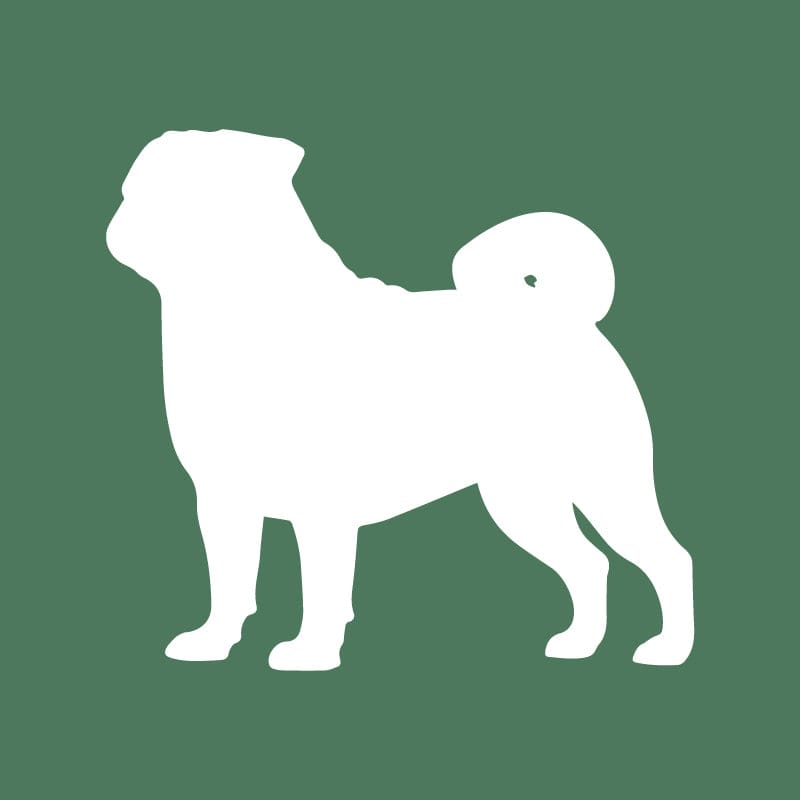 Pug Embroidered AKC Quarter Zip