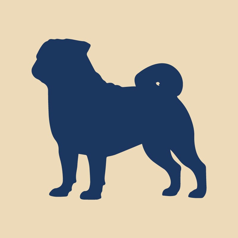 Pug Embroidered AKC Quarter Zip