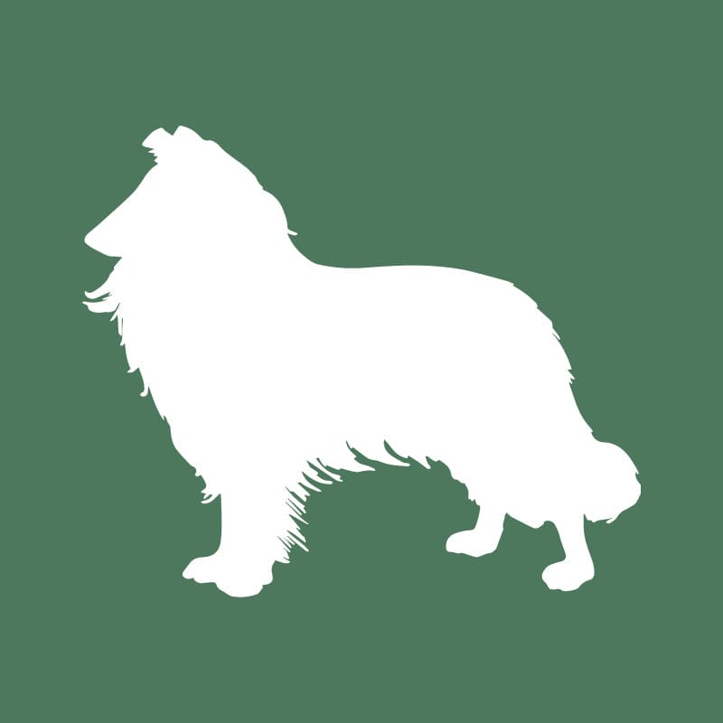 Collie Embroidered AKC Quarter Zip