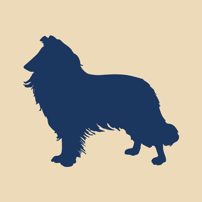 Collie Embroidered AKC Quarter Zip