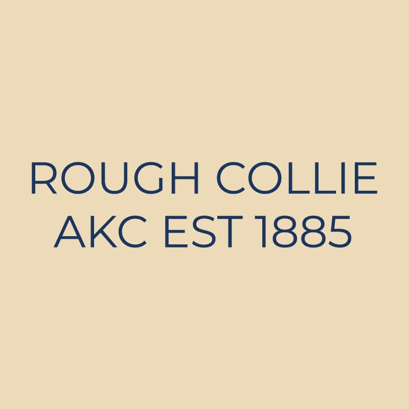 Collie Embroidered AKC Quarter Zip | AKC Shop