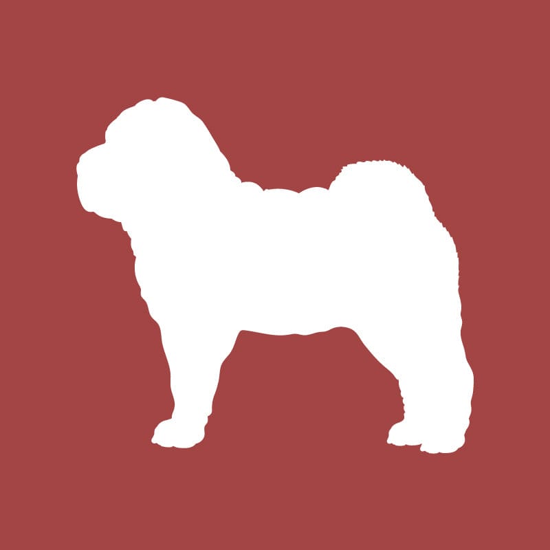 Chinese Shar Pei Embroidered AKC Quarter Zip