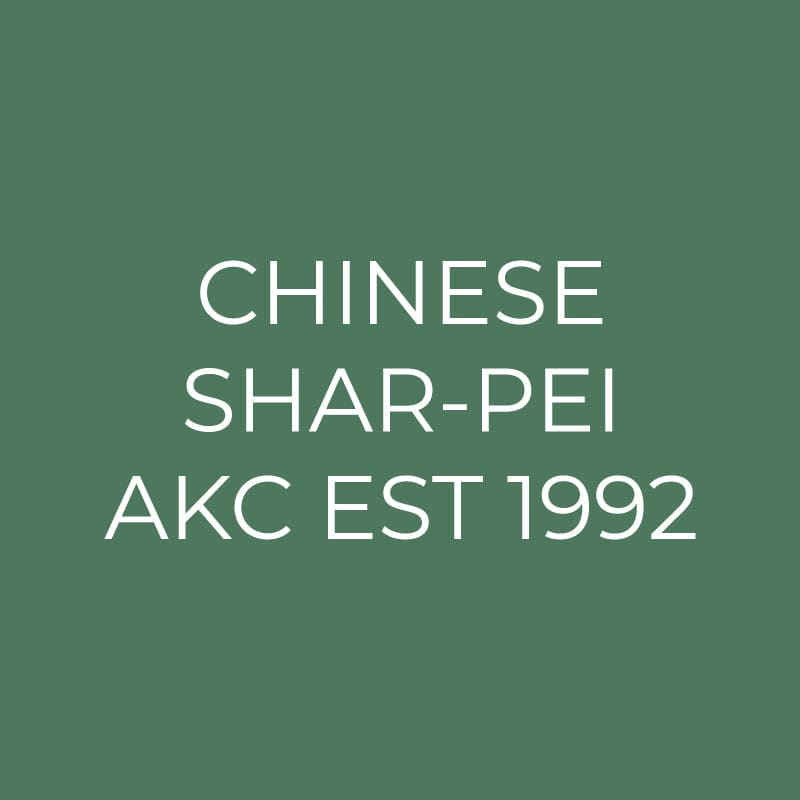 Chinese Shar Pei Embroidered AKC Quarter Zip