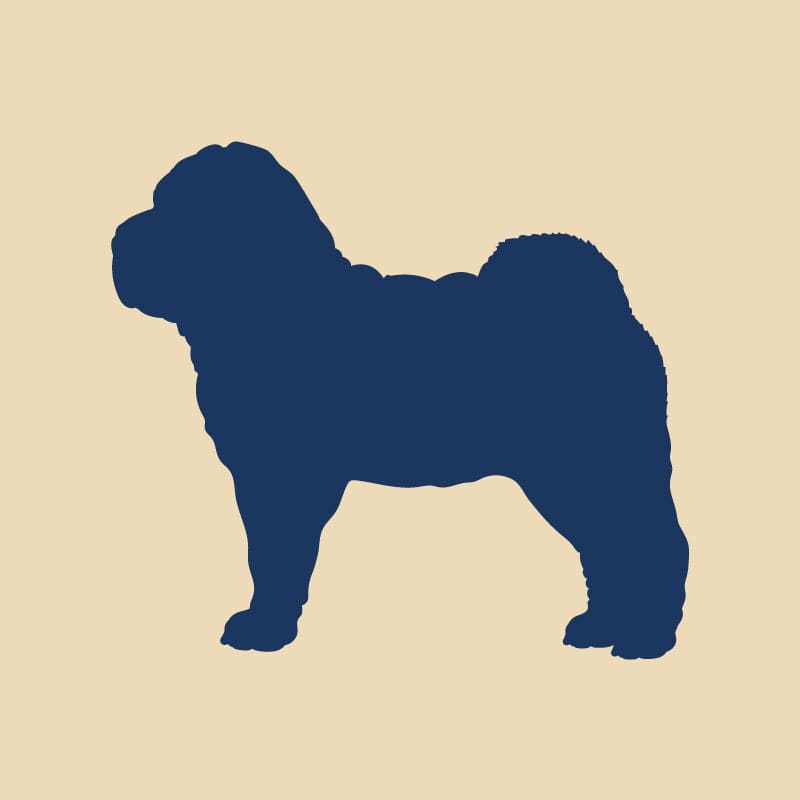 Chinese Shar Pei Embroidered AKC Quarter Zip